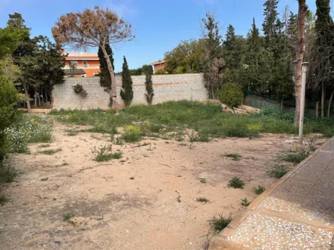 Properties for sale and rent in Spain photo 5