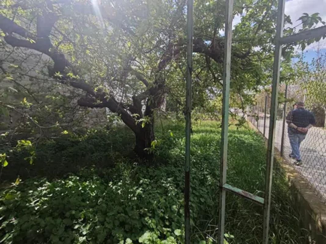 Недвижимость на продажу и в аренду в Испании photo 3
