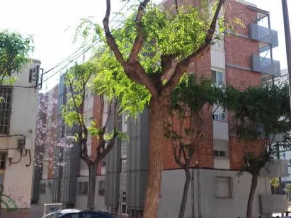 Продажа квартиры в  Calle Colonia Santa Isabel, San Vicente del Raspeig photo 1