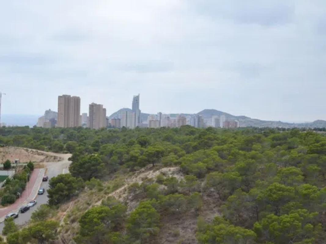 Venta de piso en Pueblo Poniente, Benidorm
photo 5