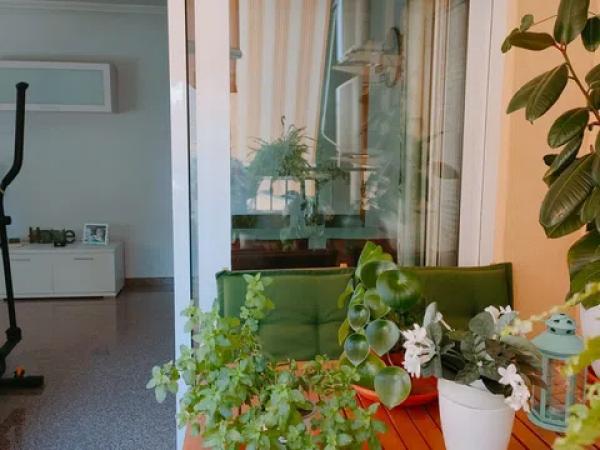 Продажа квартиры в  Calle San Isidro, 51, San Vicente del Raspeig photo 2