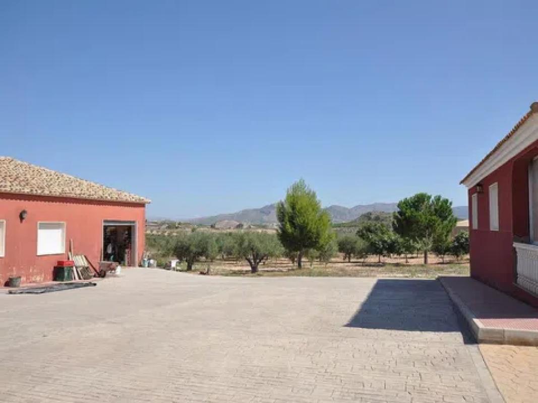 Venta de chalet independiente en Sax, Sax
 photo 4