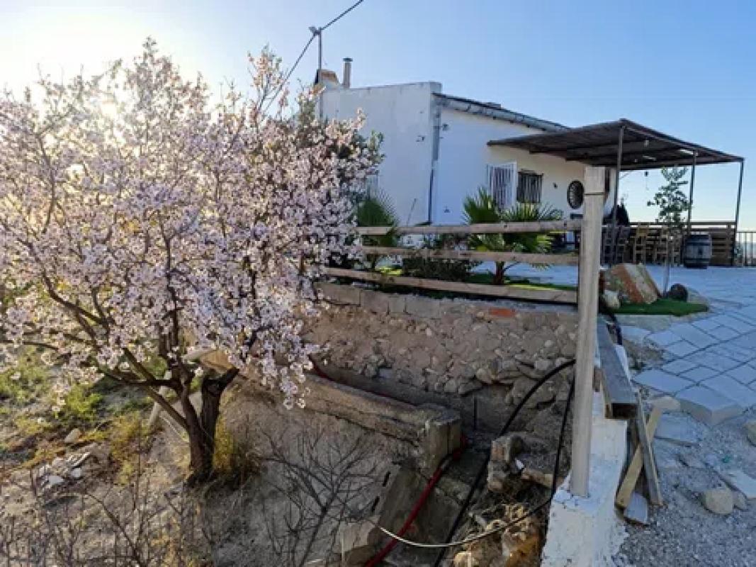 Properties for sale and rent in Spain photo 5