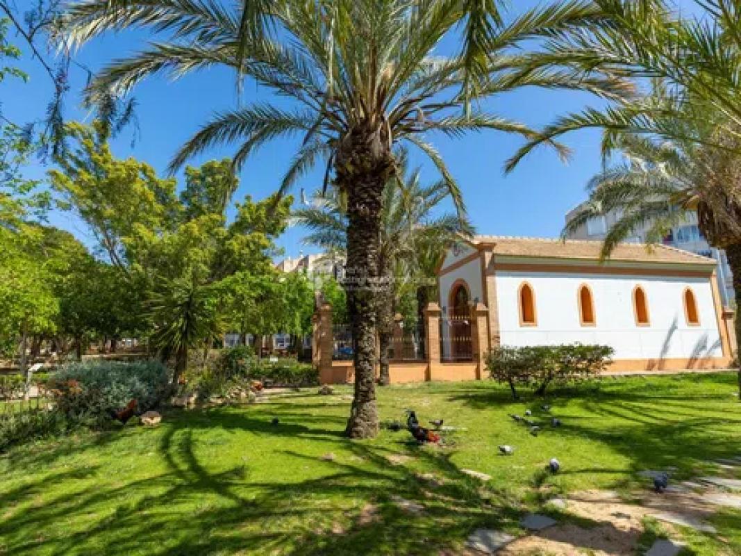 Venta de piso en Calle San Policarpo, 87, Torrevieja
 photo 2