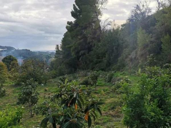 Terreno en Callosa d'En Sarria photo 1