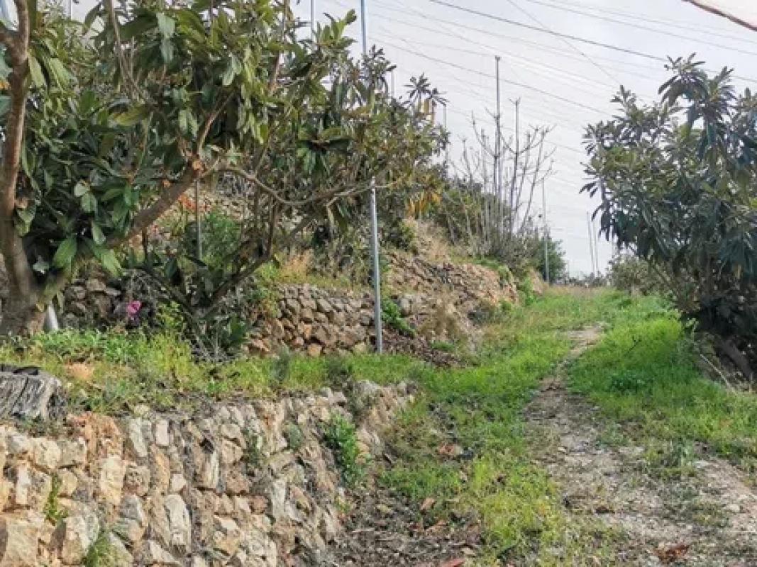 Działka na sprzedaż w Callosa d'En Sarria, Alicante photo 4