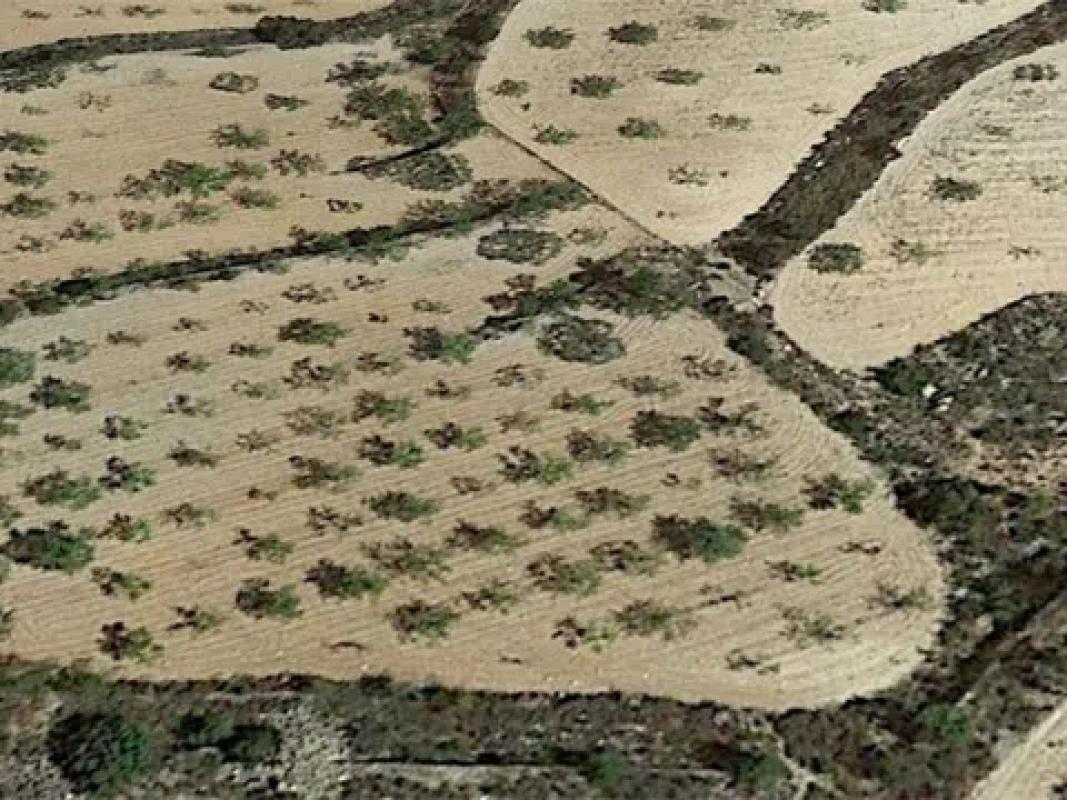Terreno en venta en La Romana, Alicante photo 3