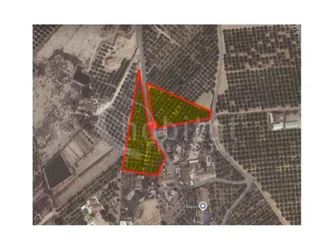 Terreno en venta en Los Montesinos, Alicante photo 2