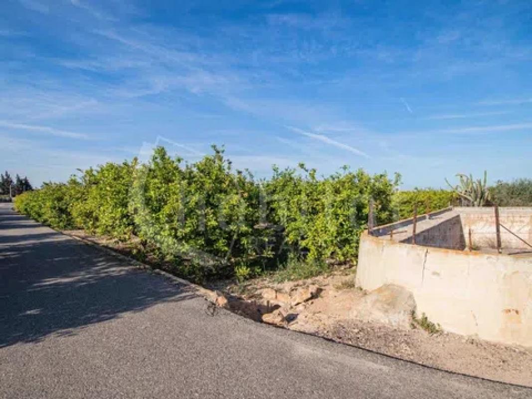 Terreno en venta en Los Montesinos, Alicante photo 5