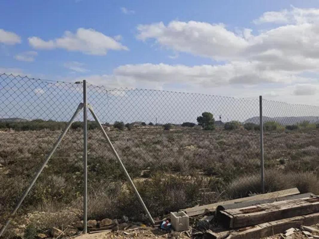 Land for sale in August, Alicante photo 4