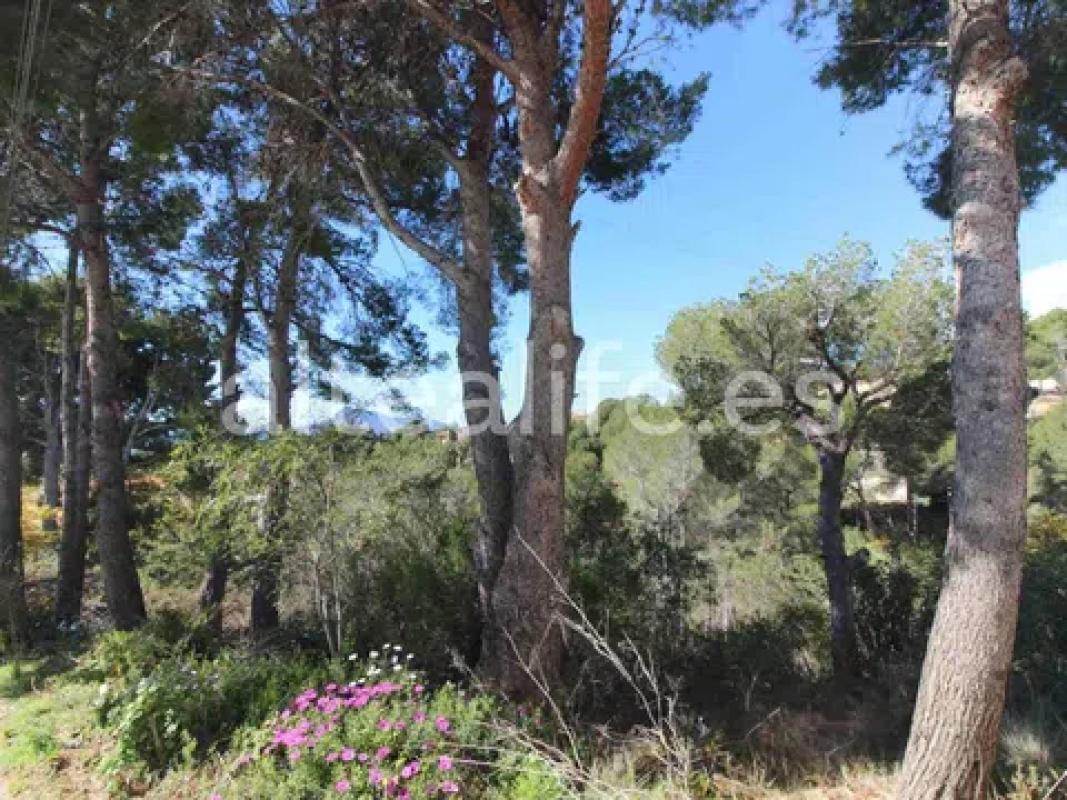 Terreno en venta en Altea, Alicante photo 2
