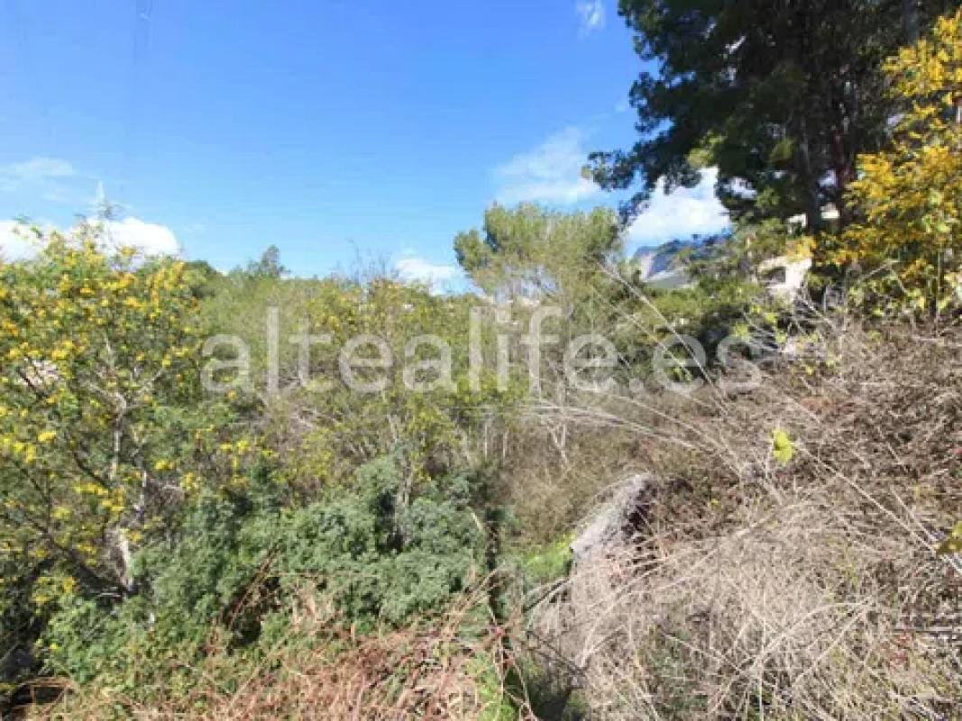 Terreno en venta en Altea, Alicante photo 5
