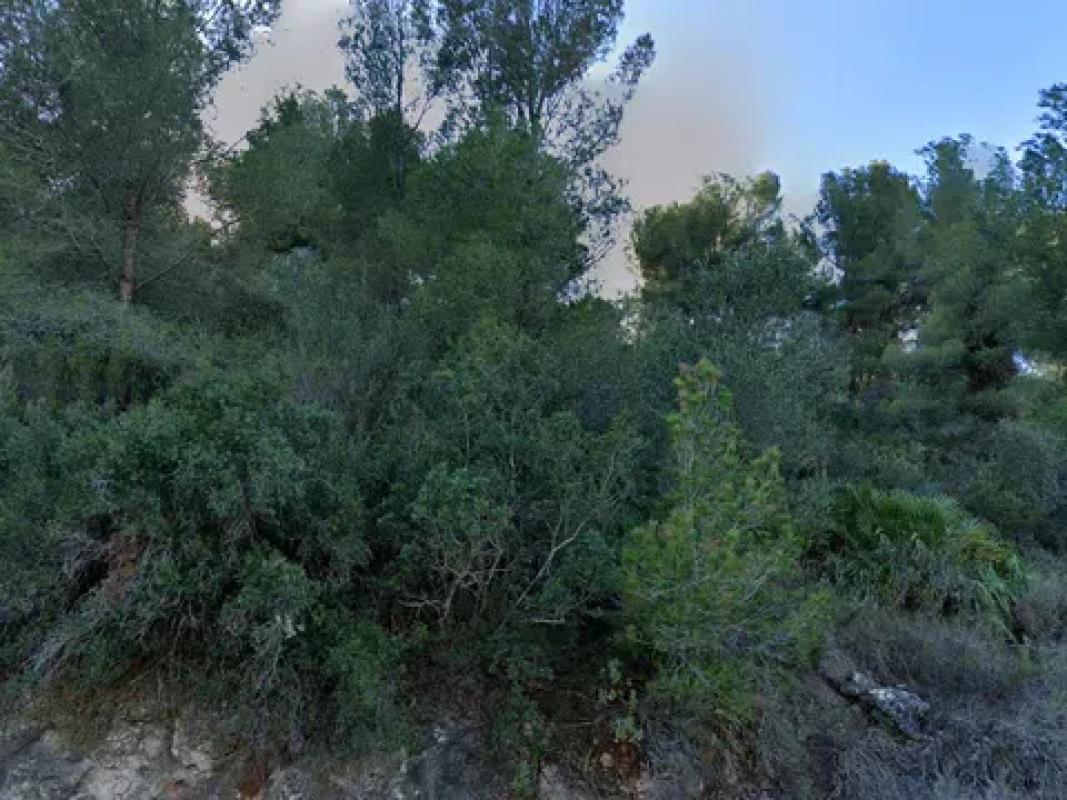 Terreno en venta en Pego, Alicante photo 2
