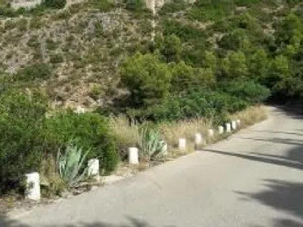 Terreno en Pego photo 4