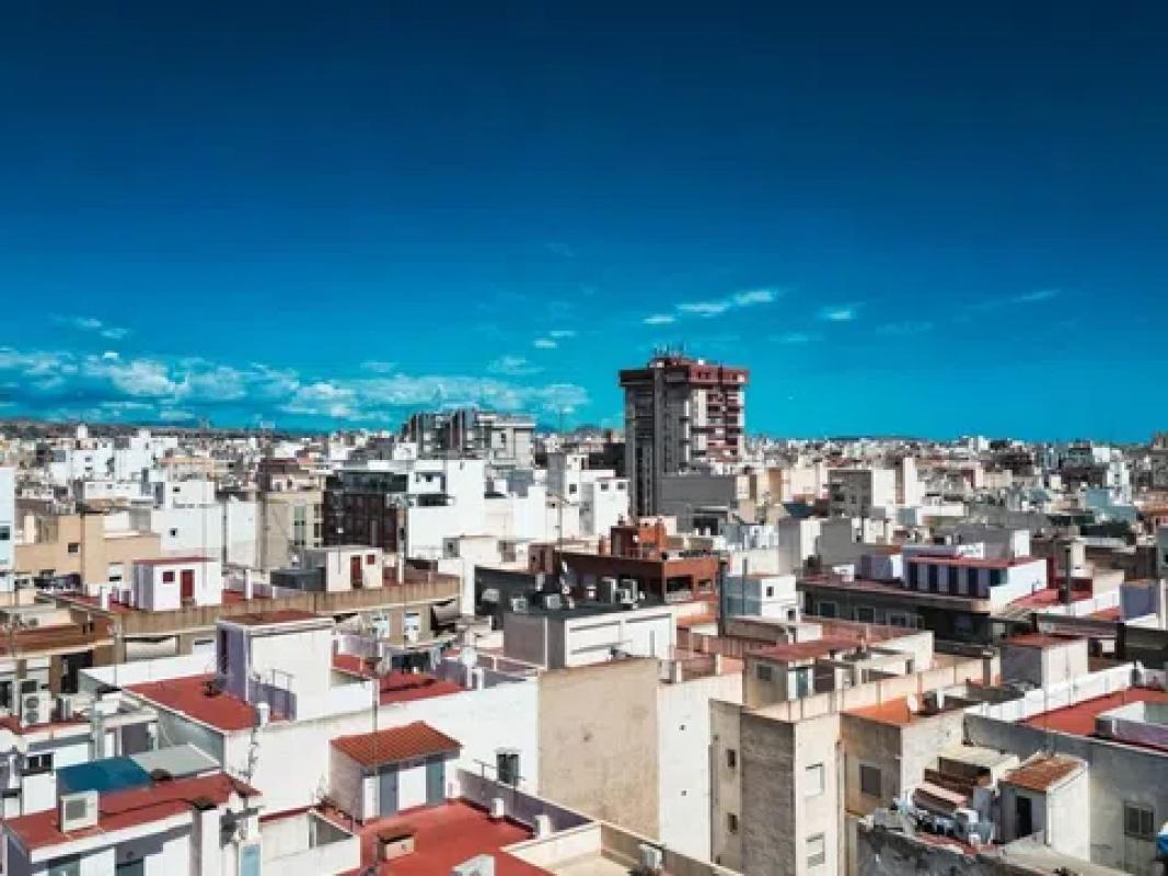 Działka na sprzedaż w Elche / Elx, Alicante photo 5