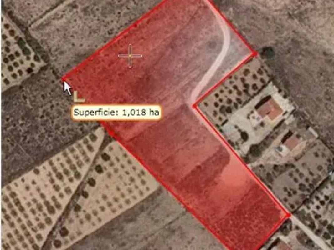 Terreno en venta en Elche / Elx, Alicante photo 2