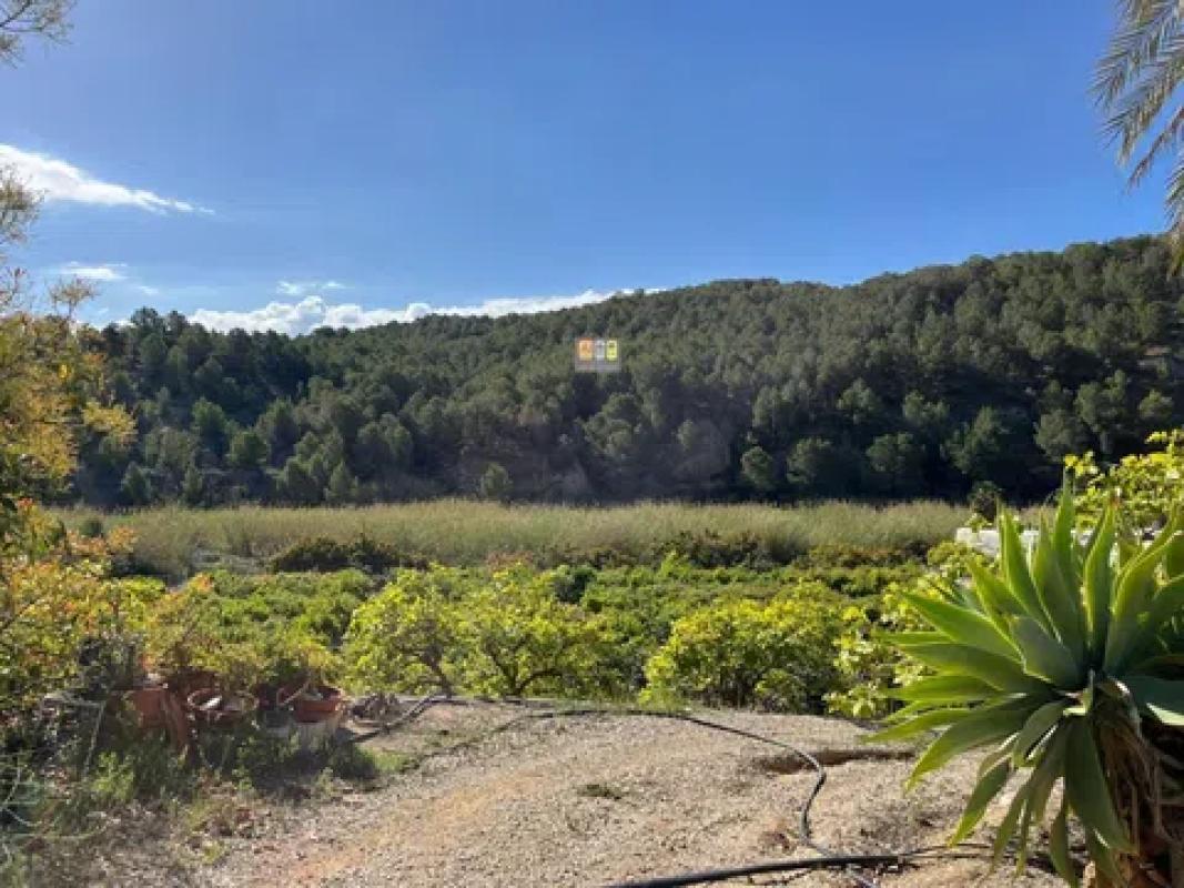 Działka na sprzedaż w Callosa d'En Sarria, Alicante photo 1