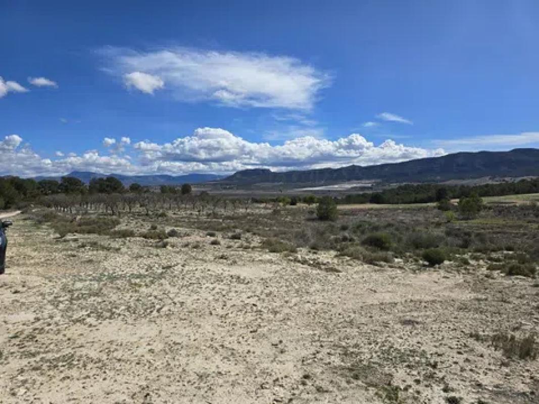 Działka na sprzedaż w Salinas, Alicante photo 3