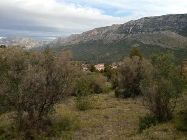 Terreno en diseminado s/n photo 3