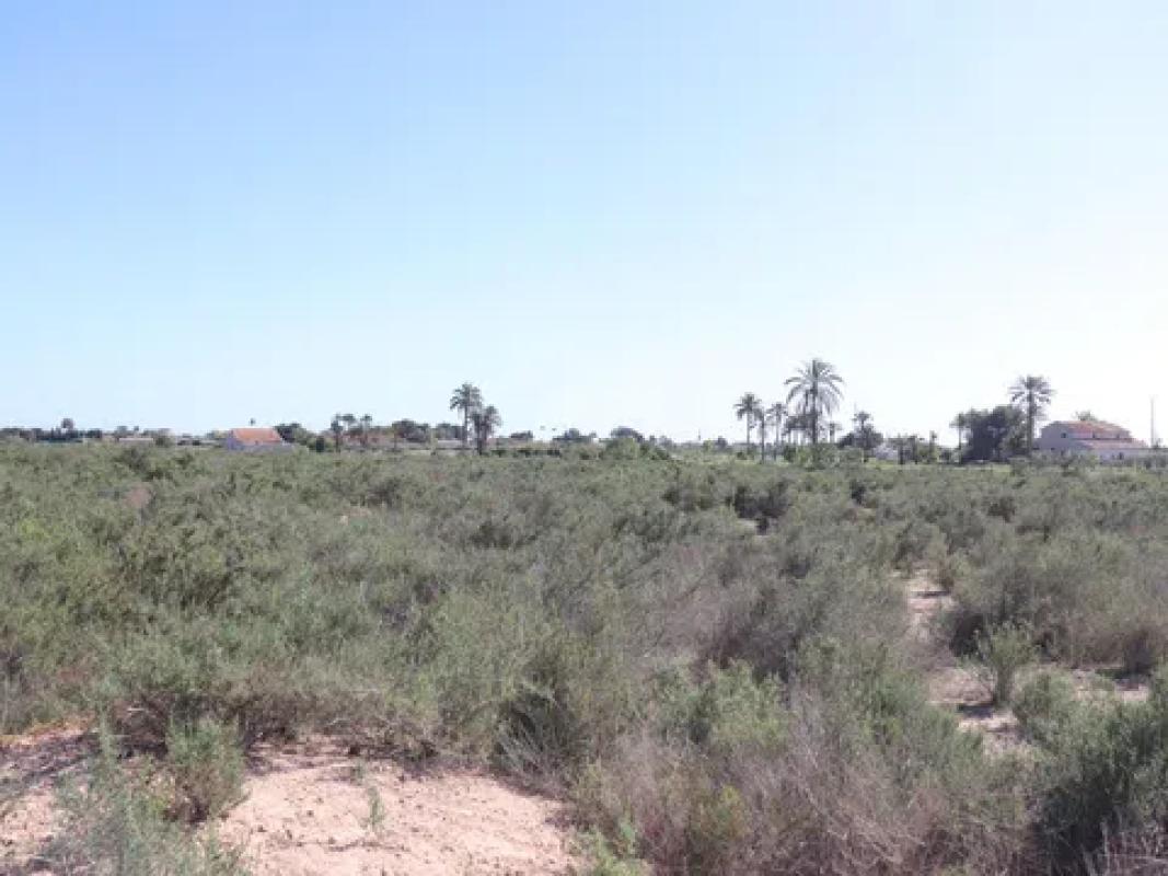 Land for sale in Elche / Elx, Alicante photo 2