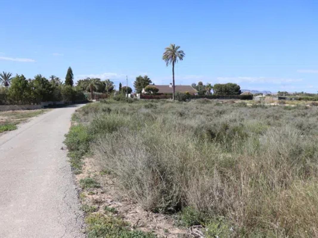 Land for sale in Elche / Elx, Alicante photo 3