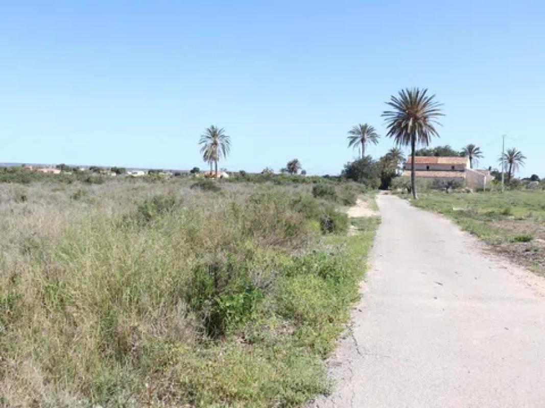 Land for sale in Elche / Elx, Alicante photo 4
