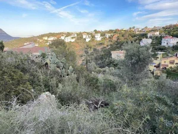 Terreno en Pedreguer photo 1