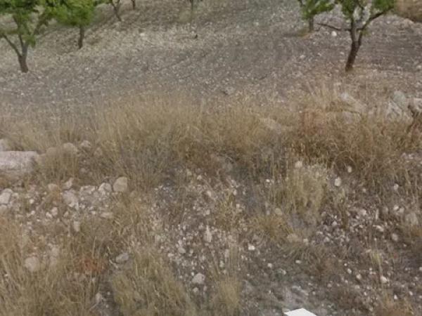 Terreno en Partida Puntes del Moro, 2 photo 2