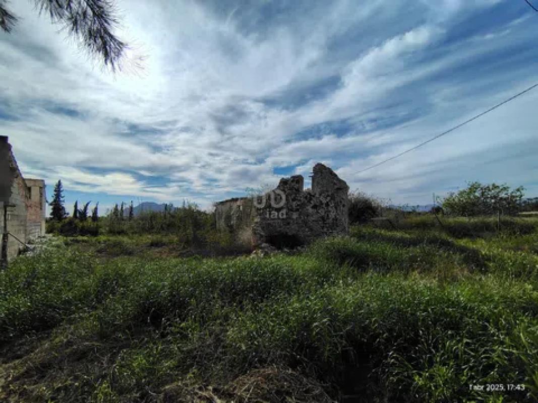 Terreno en venta en Catral, Alicante photo 2