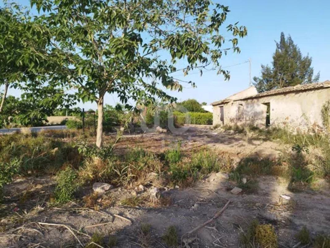 Terreno en venta en Catral, Alicante photo 3