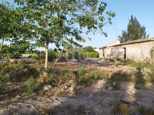 Terreno en Catral photo 3