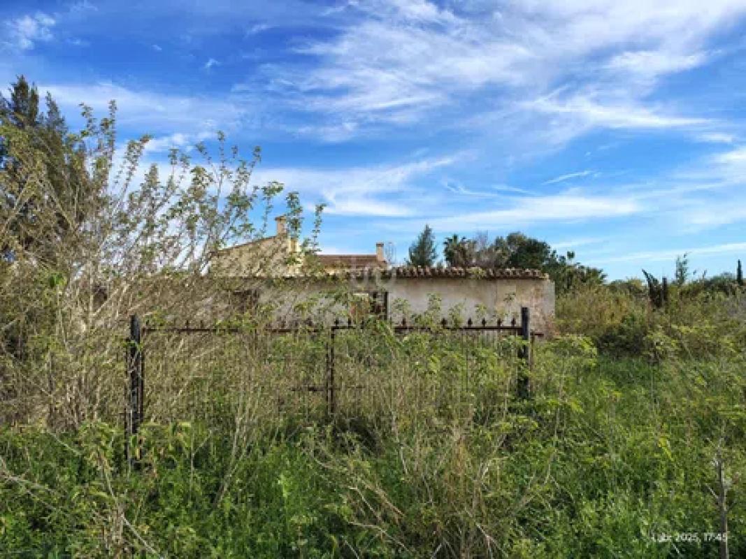 Terreno en venta en Catral, Alicante photo 4
