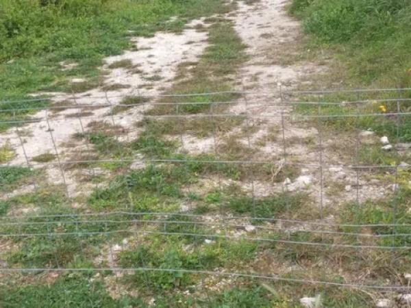 Terreno en Orba photo 3