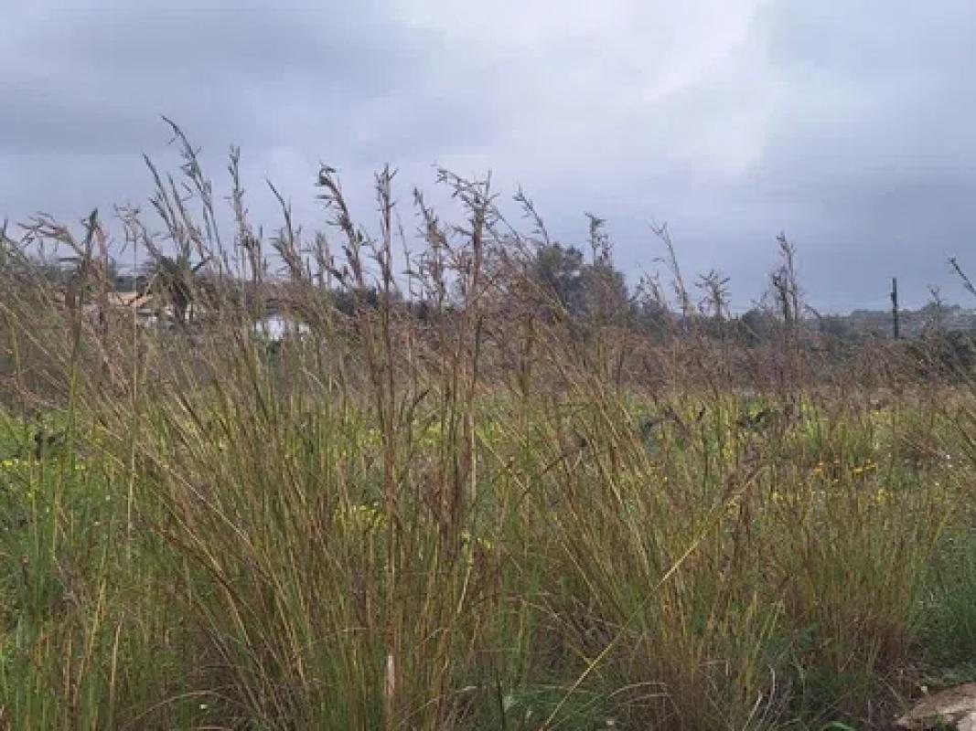 Land for sale in Orba, Alicante photo 4