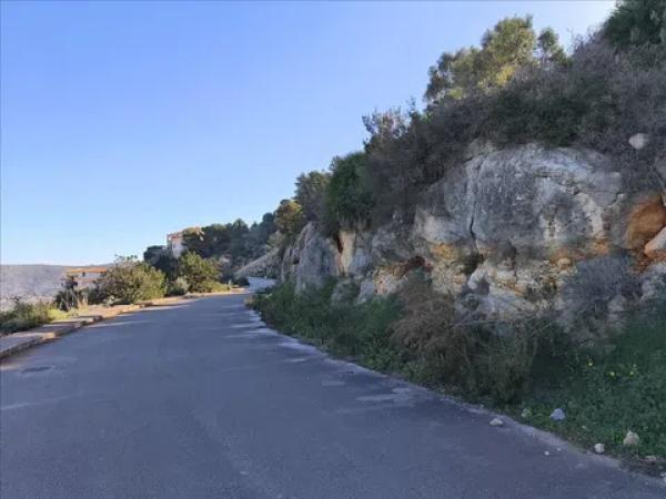 Terreno en avenida del Baix Segura photo 4