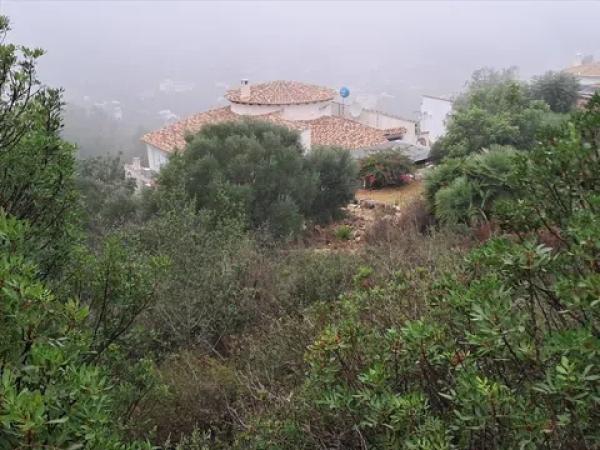 Terreno en avenida Monte Pego-Benimeli photo 1