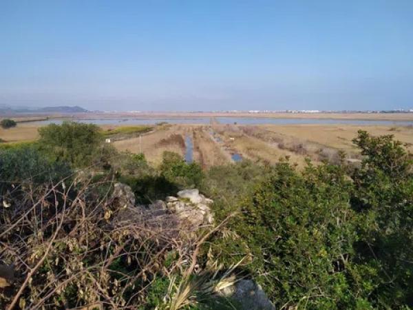 Terreno en avenida Monte Pego-Benimeli photo 3