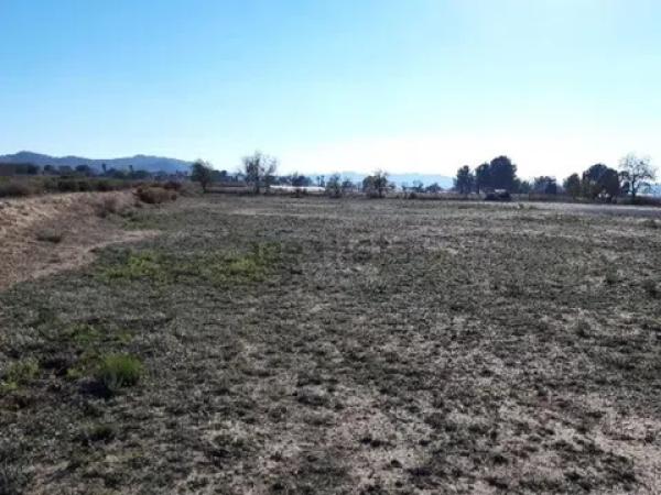 Terreno en Agost photo 2
