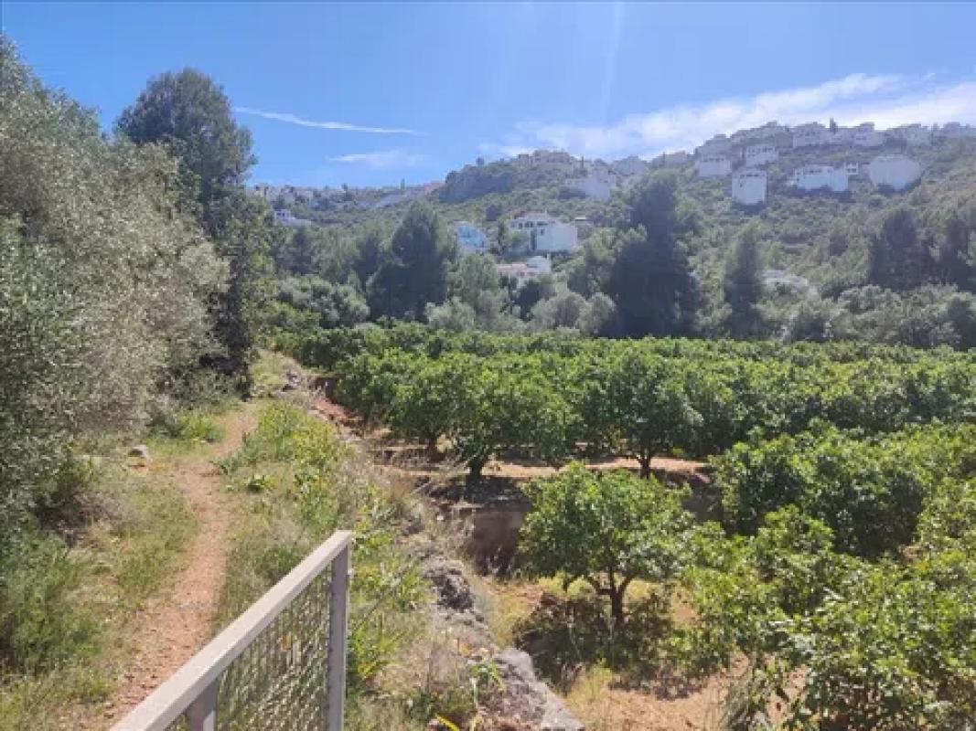 Terreno en venta en Pego, Alicante photo 3