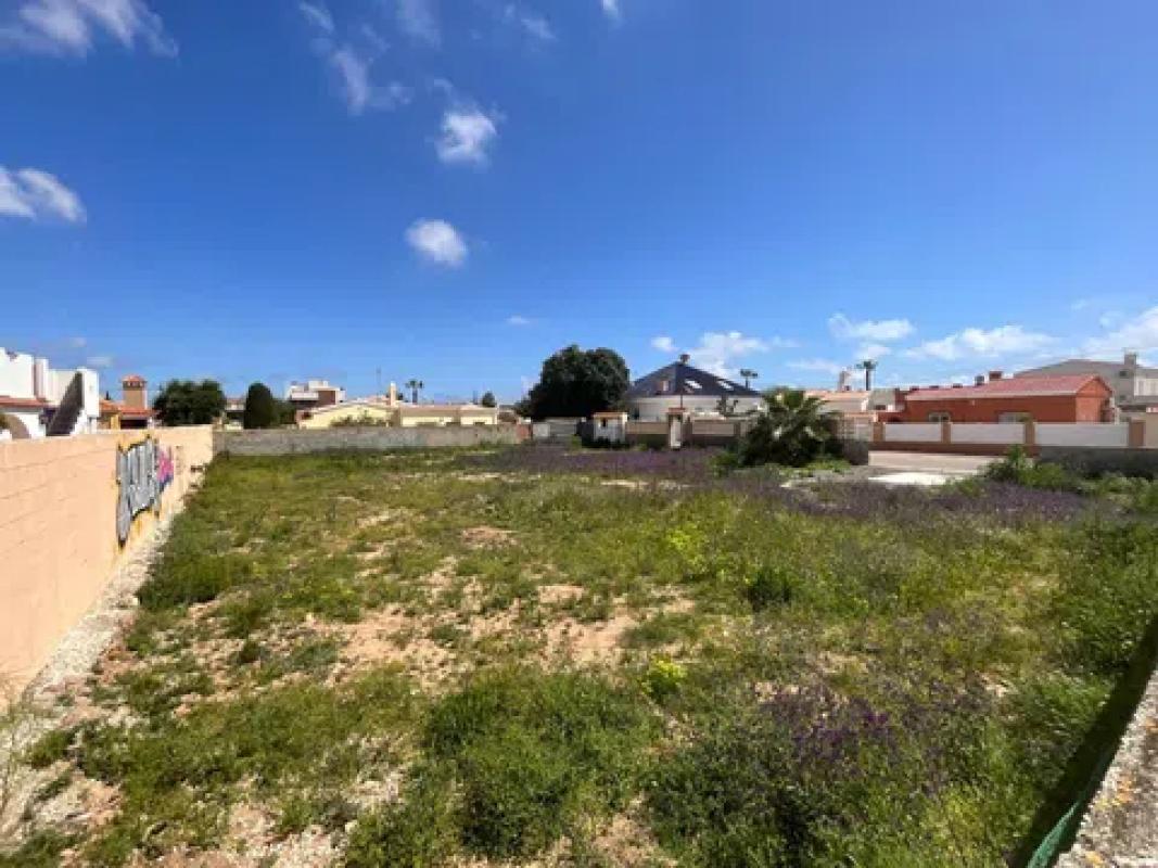Działka na sprzedaż w Torrevieja, Alicante photo 2