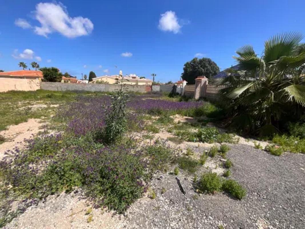 Działka na sprzedaż w Torrevieja, Alicante photo 5