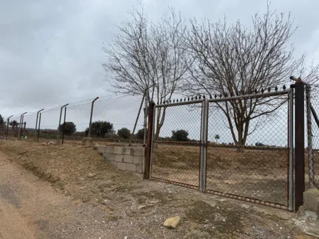Terreno en venta en Elche / Elx, Alicante photo 2