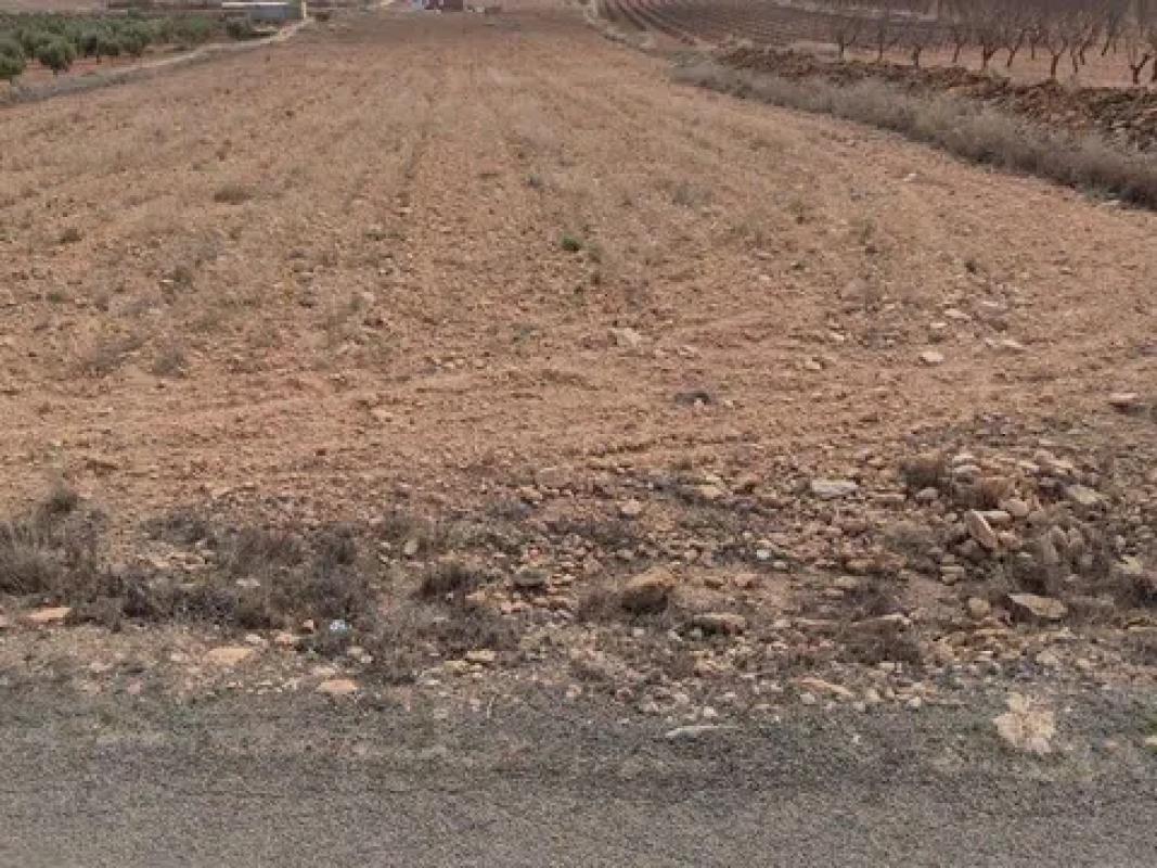 Terreno en venta en Pinoso, Alicante photo 1
