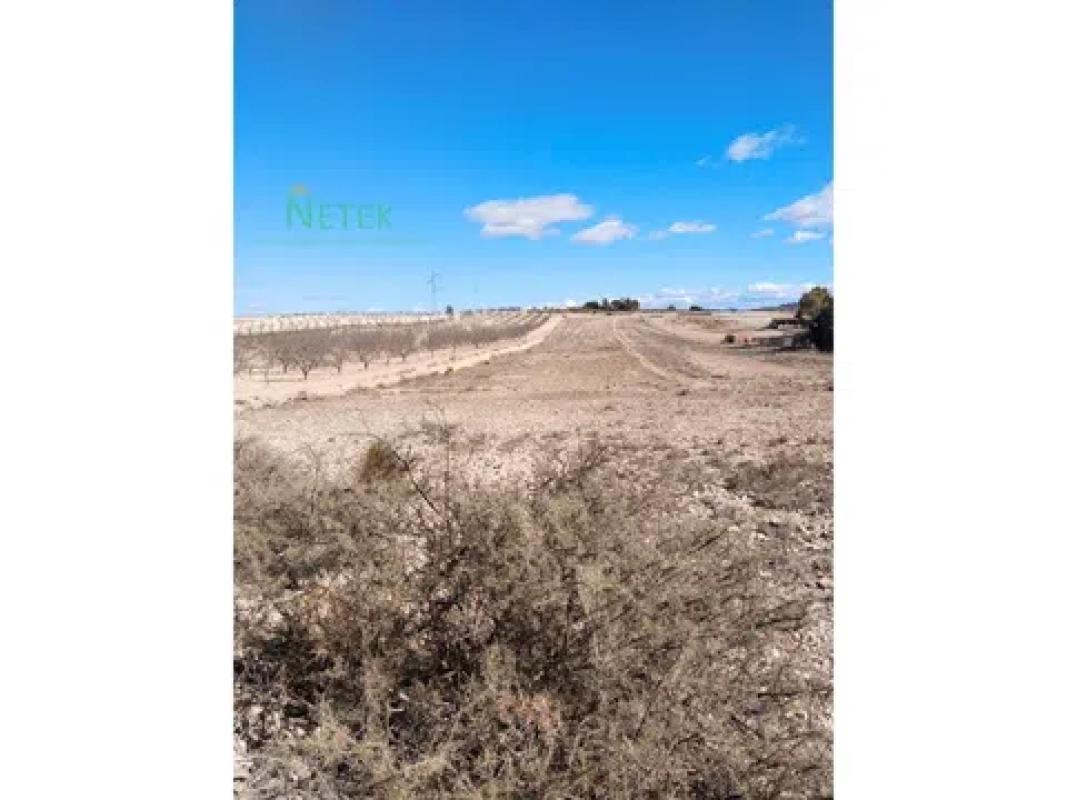 Terreno en venta en Pinoso, Alicante photo 1