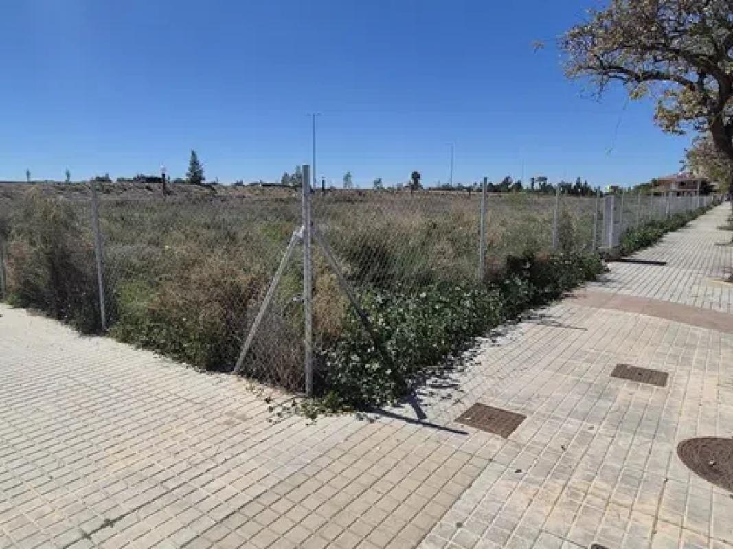Działka na sprzedaż w Elche / Elx, Alicante photo 4