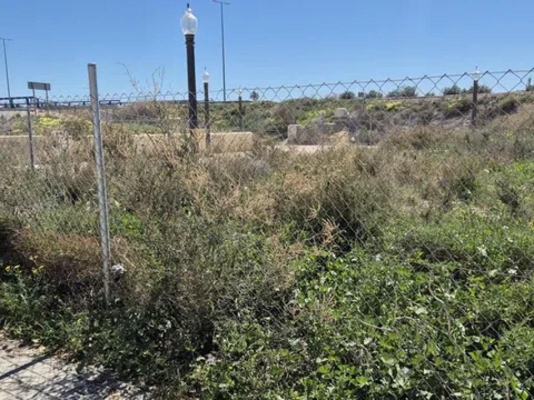 Działka na sprzedaż w Elche / Elx, Alicante photo 5