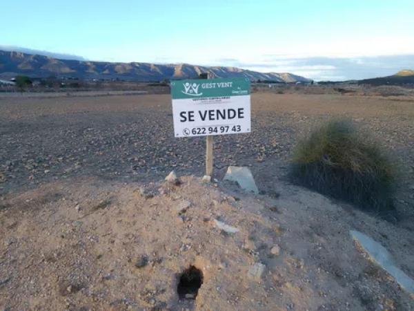 Terreno en Pinoso photo 1