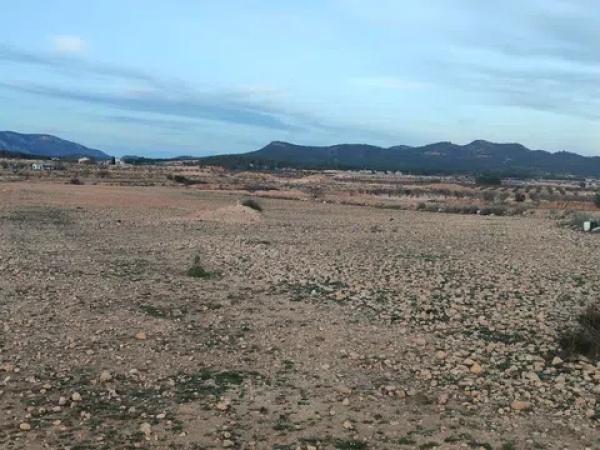 Terreno en Pinoso photo 3