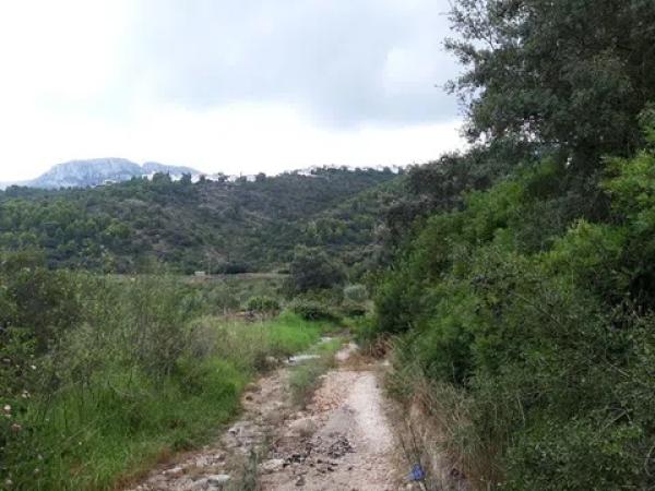 Terreno en avenida Monte Pego-Dénia photo 1