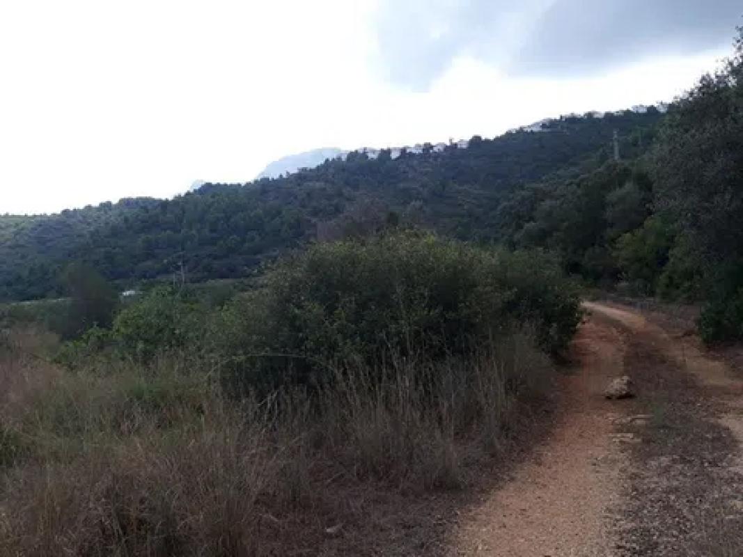 Land for sale in Denia, Alicante photo 2